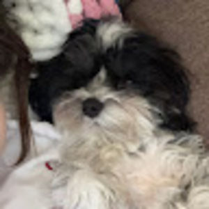 Meet your Posher, Rylee